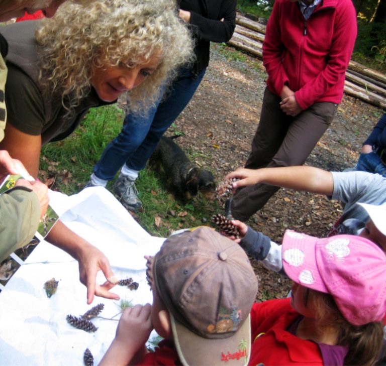 Kinder auf dem Naturerlebnispark
